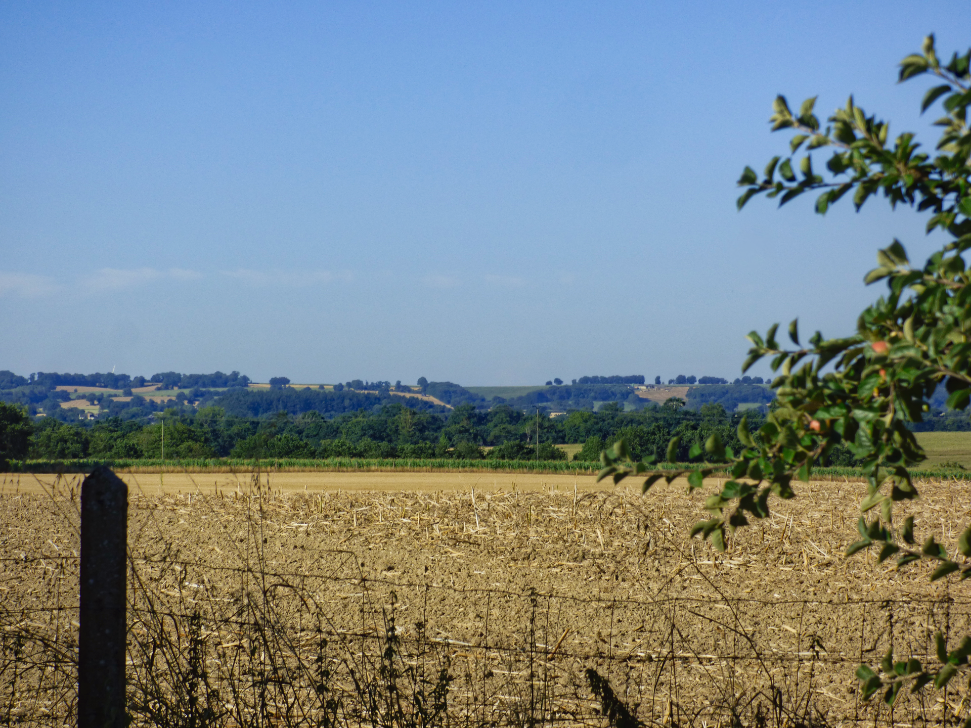 Field view towards Lassay